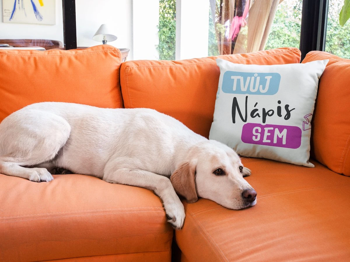 Polštář pro pejska se jménem a fotkou na puppynator.cz” width=